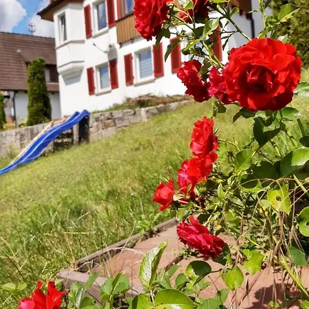 Apartment Haus Klosterblick Alpirsbach